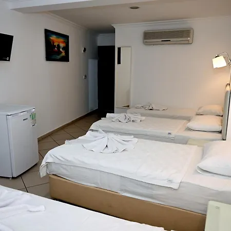 梅利斯畔丝咏酒店 4*