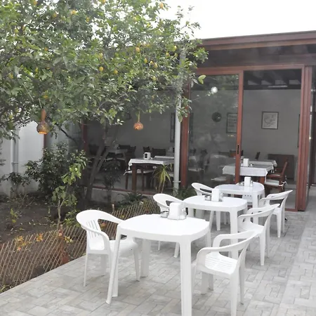 Melis Bodrum